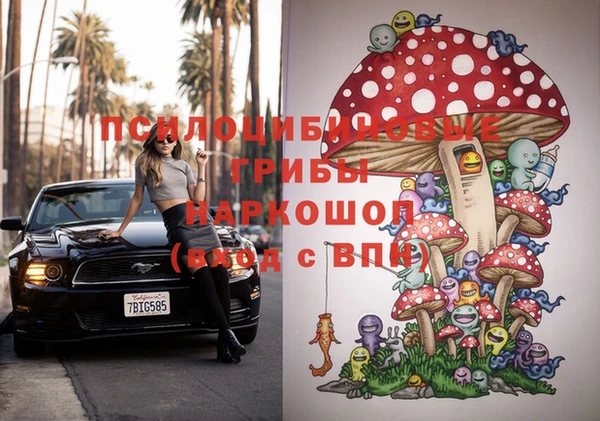дурь Богданович