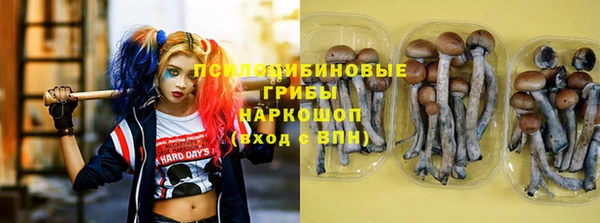 дурь Богданович