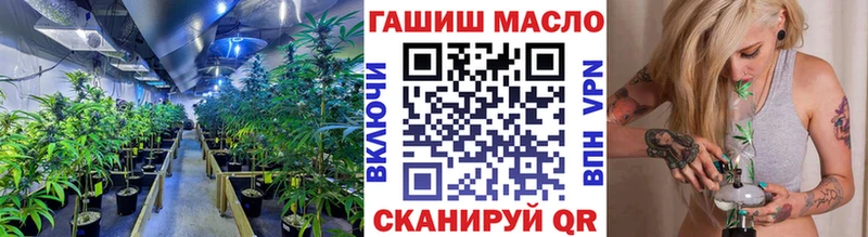 shop телеграм  цены   Медвежьегорск  ТГК вейп 